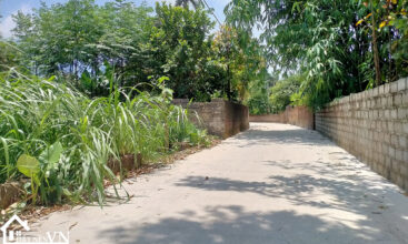 360 thon rua van hoa 1