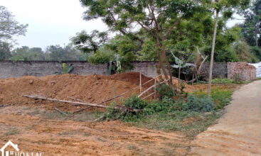 777m2 go me tien xuan 2