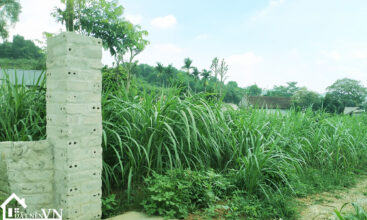 1080m2 thon rua van hoa ba vi 2