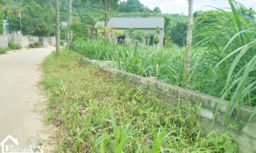 1080m2 thon rua van hoa ba vi 4