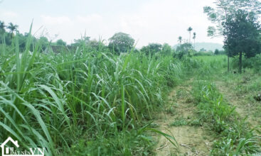 1080m2 thon rua van hoa ba vi 5