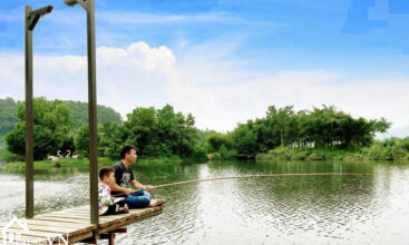 1095m2 tochi thon bon van hoa 8