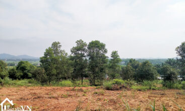 1175m2 dream gadent thon mai yen bai 3