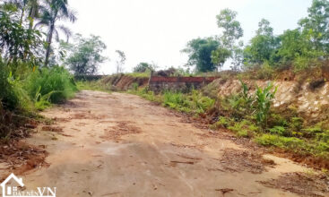 1175m2 dream gadent thon mai yen bai 4