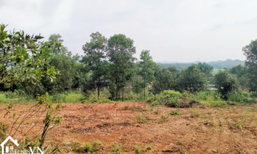 1175m2 dream gadent thon mai yen bai 5