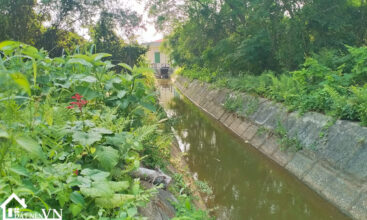 1682m2 xuan khanh xuan son ba vi 4