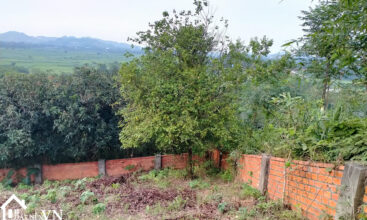 2106m2 mit hilltop yen bai 2