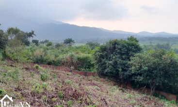 2106m2 mit hilltop yen bai 4