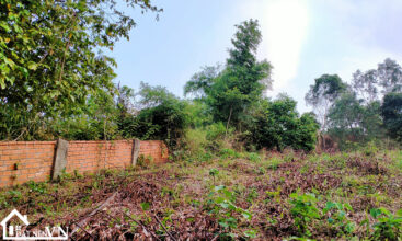 2106m2 mit hilltop yen bai 5