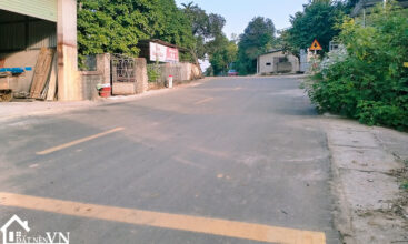 296 thon rua van hoa 2