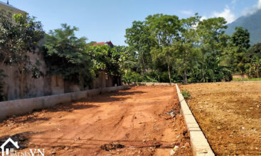 296 thon rua van hoa 3