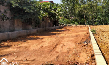 296 thon rua van hoa 4