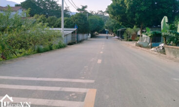 296 thon rua van hoa 5