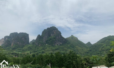 4000m2 trang giua tan phong hoa binh 1