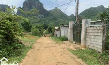 4000m2 trang giua tan phong hoa binh 2