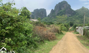 4000m2 trang giua tan phong hoa binh 3