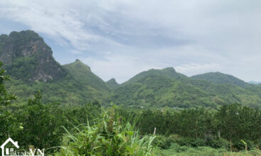 4000m2 trang giua tan phong hoa binh 5