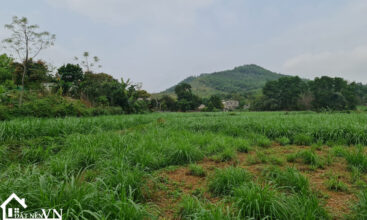607m2 thon rua van hoa ba vi 3
