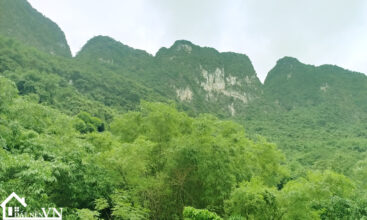 6499m2 xom khoang xuan thu kim boi hoa binh 5