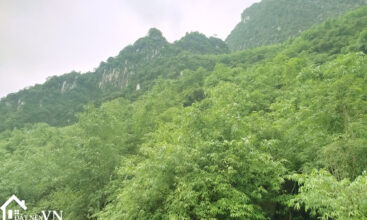 6499m2 xom khoang xuan thu kim boi hoa binh 6