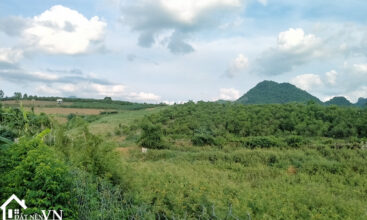 5000m2 tan phong cao phong hoa binh 2