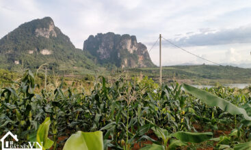 5000m2 tan phong cao phong hoa binh 3