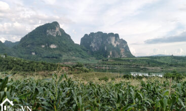 5000m2 tan phong cao phong hoa binh 4