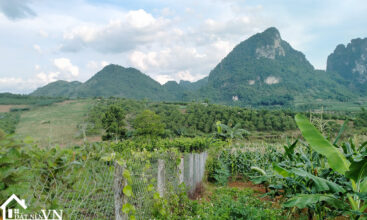 5000m2 tan phong cao phong hoa binh 5