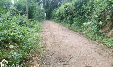 1600m2 tan phong cao phong hoa binh 2