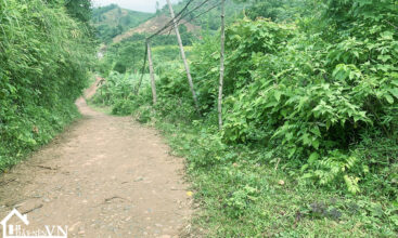 1600m2 tan phong cao phong hoa binh 3