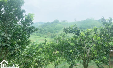 1600m2 tan phong cao phong hoa binh 5