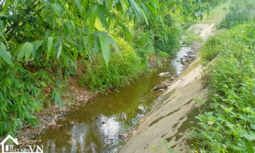 1860m2 hop phong cao phong hoa binh 5