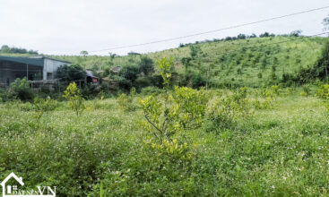 1860m2 hop phong cao phong hoa binh 6