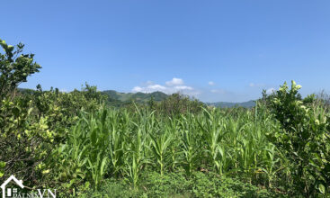 5148m2 nam phong cao phong hoa binh 3