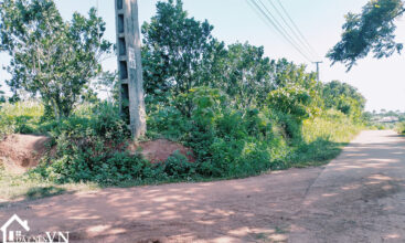 5148m2 nam phong cao phong hoa binh 7