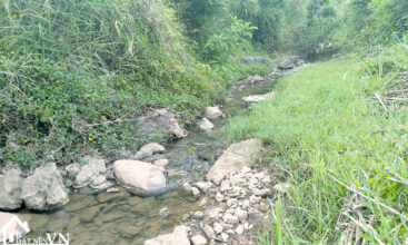 5558m2 hop phong cao phong hoa binh 2