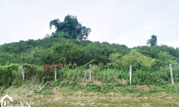 5558m2 hop phong cao phong hoa binh 3