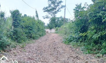 5558m2 hop phong cao phong hoa binh 5