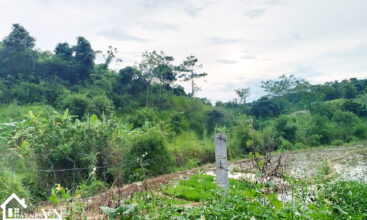 5558m2 hop phong cao phong hoa binh 6