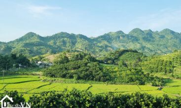 5235 thu phong cao phong hoa binh 3