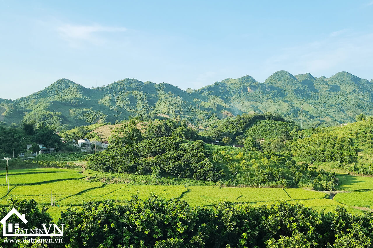 5235 thu phong cao phong hoa binh (3) 5235 thu phong cao phong hoa binh 3