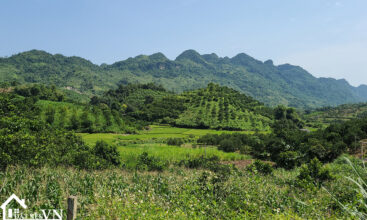 5235 thu phong cao phong hoa binh 4