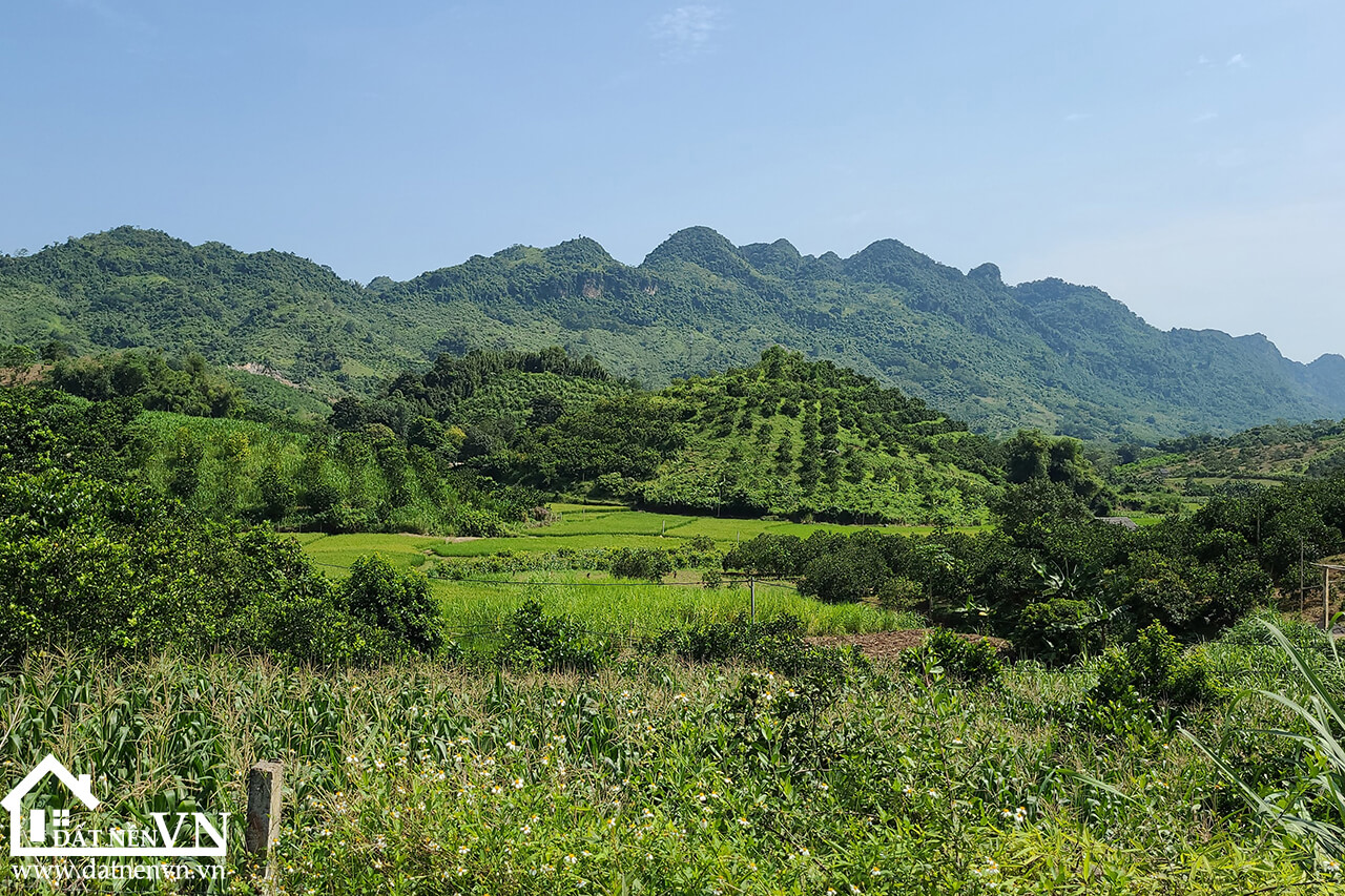 5235 thu phong cao phong hoa binh (4) 5235 thu phong cao phong hoa binh 4