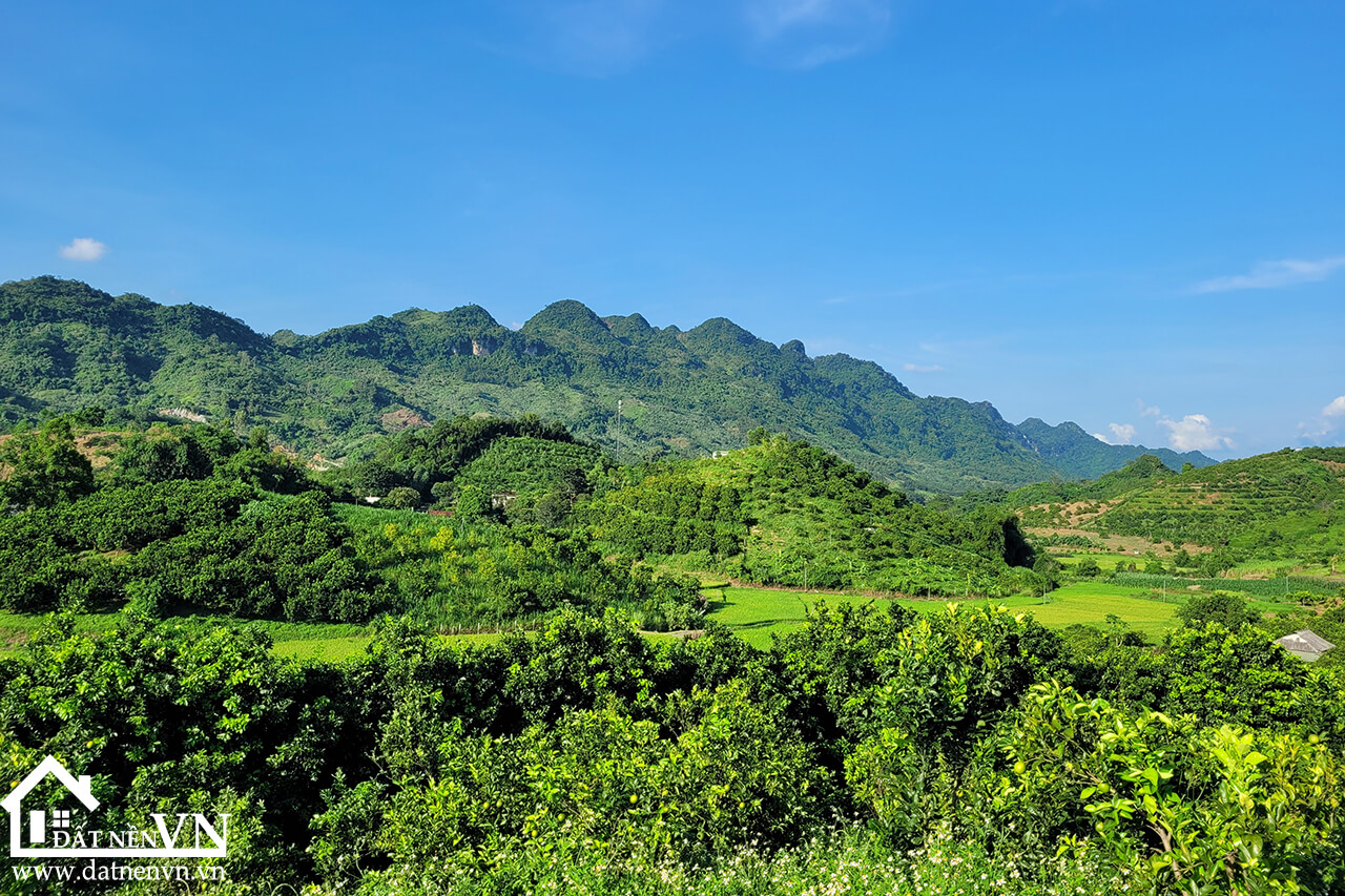 5235 thu phong cao phong hoa binh (5) 5235 thu phong cao phong hoa binh 5