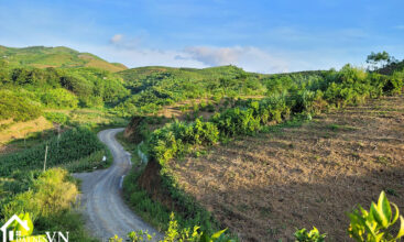 5235 thu phong cao phong hoa binh 7