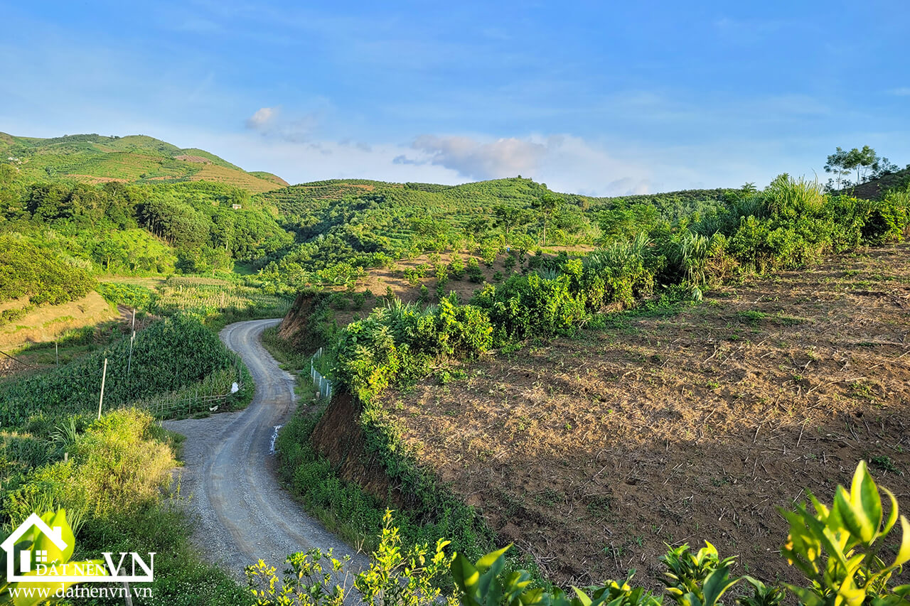 5235 thu phong cao phong hoa binh (7) 5235 thu phong cao phong hoa binh 7