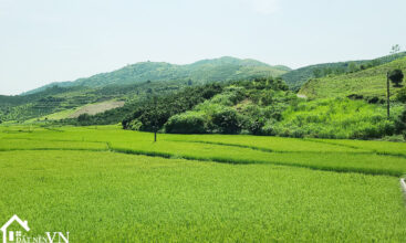 5235 thu phong cao phong hoa binh 8