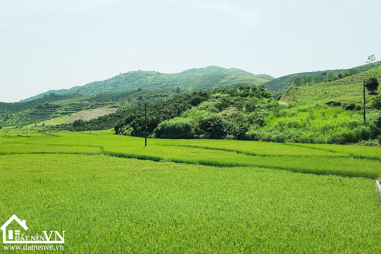 5235 thu phong cao phong hoa binh (8) 5235 thu phong cao phong hoa binh 8