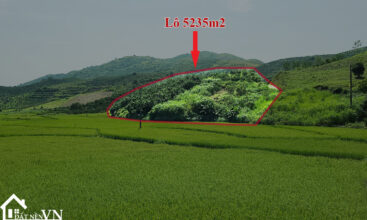 5235 thu phong cao phong hoa binh 9