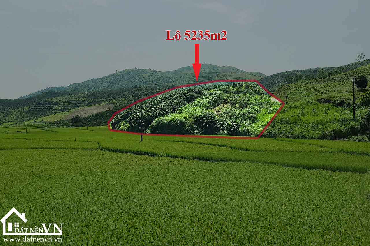 5235 thu phong cao phong hoa binh (9) 5235 thu phong cao phong hoa binh 9